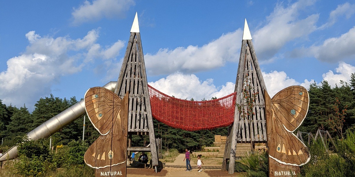 hogmoor inclosure family day out in hampshire