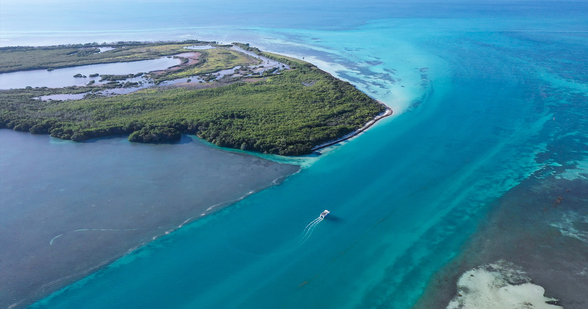 Honest Eco boat tour out from Key West guide to the Florida Keys