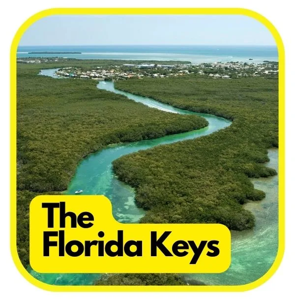 A Birdseye view of the florida keys from above