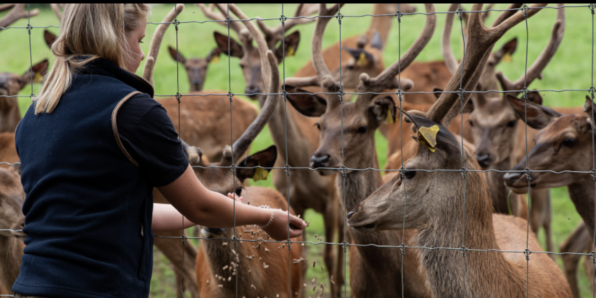 sky park farm animal attraction near hampshire